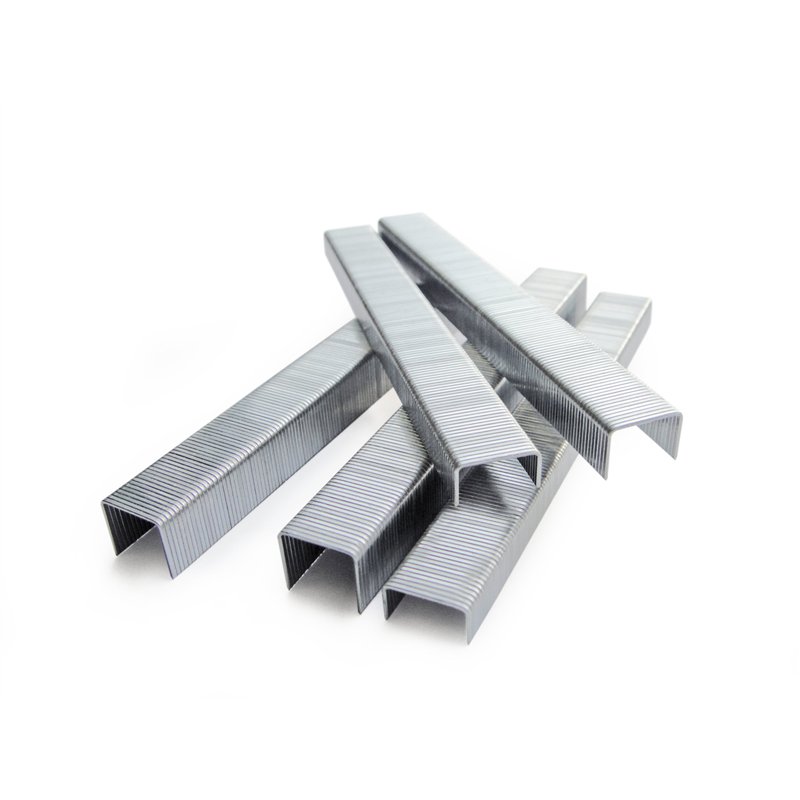 Image secondaire de Tacwise 0383 Agrafes Galvanisées pour Tapisserie de Type 80 / 10 mm, Lot de 10.000