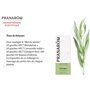 Pranarôm Huile Essentielle Estragon Prédiluée Artemisia dracunculus Sommité Fleurie HECT 5 ml