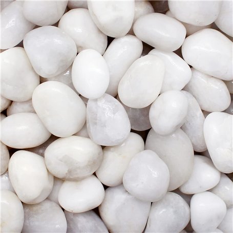 Aleker Galets blancs de 1 kg pour pots de fleurs