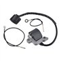Cancanle Bobine d'allumage pour Stihl FS400 FS450 FS480 FR450 FR480 SP400 SP450 Partie Non. 4128 400 1306