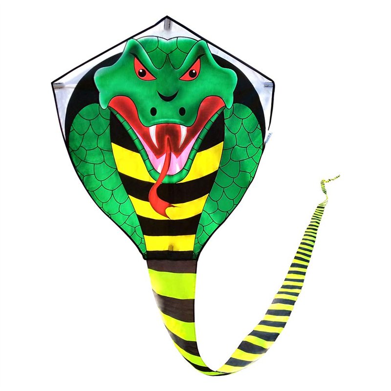 Mint's Colorful Life Cerf-Volant Enfants et Adultes, Cobra Cerfs-Volant Sport et Plage,Ligne de cerf-Volant et poignée Inclus, i