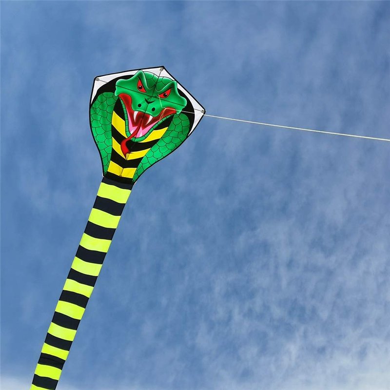 Image secondaire de Mint's Colorful Life Cerf-Volant Enfants et Adultes, Cobra Cerfs-Volant Sport et Plage,Ligne de cerf-Volant et poignée Inclus, i