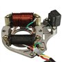 Alamor 50Cc 110Cc 125Cc 2 Bobine ATV Quad Stator Bobine D'Allumage Plaque Magnéto Chinoise