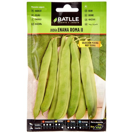 Semences horticoles de Batlle - Haricot nain Rome Perona (25g)