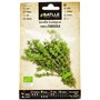 Graines Bio de Batlle - Thym (0