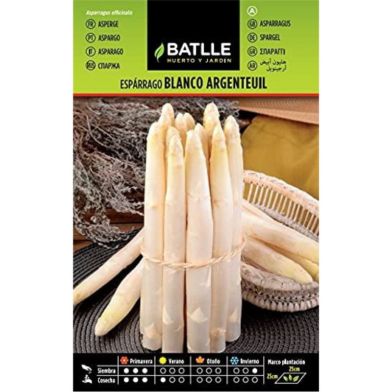 Semences horticoles de Batlle - Asperge blanc Argenteuil (4g)
