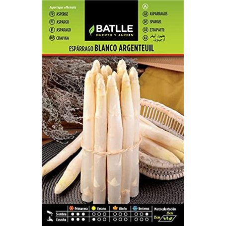 Semences horticoles de Batlle - Asperge blanc Argenteuil (4g)