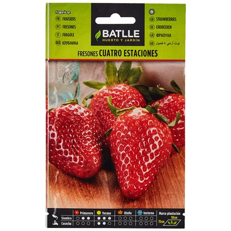 Semillas aromáticas de Battle - Fresones 4 estaciones (0