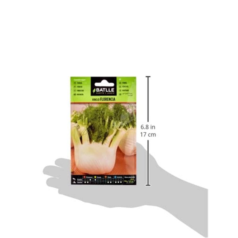 Image secondaire de Graines aromatiques de Batlle - Fenouil de Florence (10g)