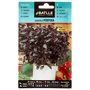Graines aromatiques de Batlle - Basilic pourpre (2g)