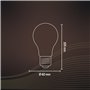 CALEX Smart Ampoule Filament LED A60 E27 CCT WiFi, 806lm, 7W, Alexa/Google/Siri, blancs 1800-3000K, dimmable, scénarios, minuter