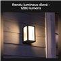 Philips Hue White & Color Ambiance Applique murale extérieurs IMPRESS, Kit de base à intensité variable jusqu'à 16 millions de c