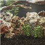 Décoration pour Aquarium