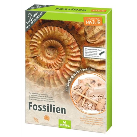 moses. Expedition Nature - Kit de fouilles de fossiles - Bloc de plâtre avec 5 fossiles Authentiques - Kit d'excavation avec Out