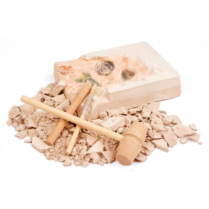 Image secondaire de moses. Expedition Nature - Kit de fouilles de fossiles - Bloc de plâtre avec 5 fossiles Authentiques - Kit d'excavation avec Out