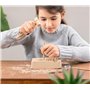 moses. Expedition Nature - Kit de fouilles de fossiles - Bloc de plâtre avec 5 fossiles Authentiques - Kit d'excavation avec Out
