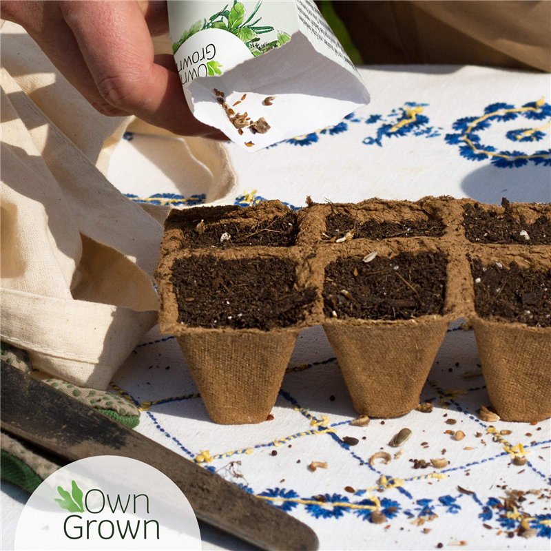 Image secondaire de Ensemble de semences de fruits : graines potager de fruits de première qualité avec 8 variétés de plantes fruitières pour le jardin