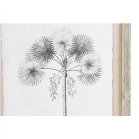 Play-Doh Dentiste Farceur Hasbro