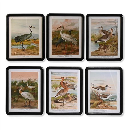 Cadre DKD Home Decor Verre Bois MDF Oiseaux (40 x 50 x 1