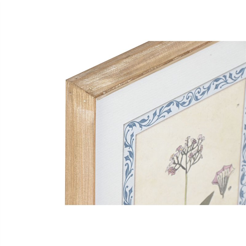 Image secondaire de Cadre Home ESPRIT Shabby Chic Plantes botaniques 40 x 2,5 x 50 cm (4 Unités)