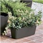 Jardiniere - DEROMA - Origin - 12 L - Anthracite