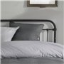 Housse de couette - TODAY - CHARME - Coton 57 fils - Gris clair x Dune Constance - 260 x 240 cm