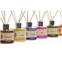Désodorisant Home ESPRIT Mandala 100 ml (6 Unités)