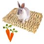 RoadLoo Lapin Lits Mâcher,4 Pcs NaturelleTapis Lapin la Main Herbe Tissée Jouets Mâcher Sûrs Comestibles Lapins Mâchent des Joue