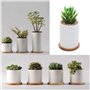 6pcs Succulentes Plateau en Bambou Plante Soucoupe Pot De Fleurs Set 3 Pouces