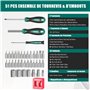 HYCHIKA 51 Pcs Kit Tournevis, Lot Tournevis Magnétique, Comprenant Tournevis de Précision, Tournevis Cruciforme, Tournevis Plat,