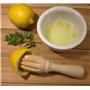 Presse-citron Presse-agrumes EFO Presse-agrumes en Bois avec Grips Presse-agrumes pour Jus D’orange