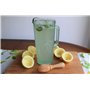 Presse-citron Presse-agrumes EFO Presse-agrumes en Bois avec Grips Presse-agrumes pour Jus D’orange