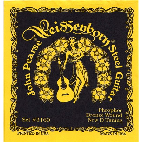 John Pearse Strings Strings 3160 Jeu de Cordes pour Guitare Weissenborn Steel - Phosphor Bronze - New D-Tuning