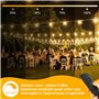 Warlisou 15M Guirlande Lumineuse Exterieure avec Télécommande