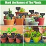 Lot de 100 étiquettes pour plantes - Résistantes aux intempéries - Avec 3 petites pelles de jardin et 2 marqueurs - Pour légumes