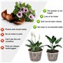 VGECEE 6 Pcs Pot Transparent Orchidée 11/12.5cm, Pots de Fleur Plastique avec Trou de Drainage, Pot Plante Intérieur Rond, Pots 