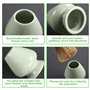 Lot de 4 fouets à matcha TOATELU (100 poils), fouet à matcha avec 2 cuillères à matcha, support pour la cérémonie du thé japonai