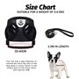 Ensemble harnais et laisse pour chat - Ensemble harnais et laisse pour chien - Anti-fugue - Réglable/léger/doux - Pour promener 