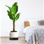 xyuayamz Porte Plante a roulettes, Support Plante Roulette Rond ø 20cm, Capacité de Charge 50kg, Support Pot de Fleur avec Boîte