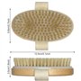 Firschoie 2 Pièces Brosse pour le corps de Massage, Brosse corporelle pour éliminer les peaux mortes, Utilisé pour améliorer cir