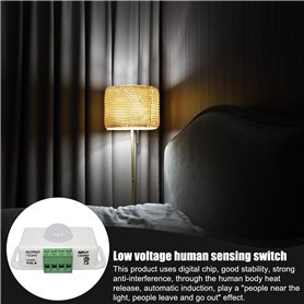 EHDWXVZM 4 Morceaux De Fausses Langues