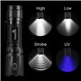DaskFire 2 en 1 Lampe Torche Set LED Puissante 900Lumens Lampe UV 395NM Lumière Ultraviolet 4 Modes Eclairage Lampe de Poche Zoo