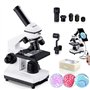 BEBANG 100X-2000X Microscope pour Enfants Adultes