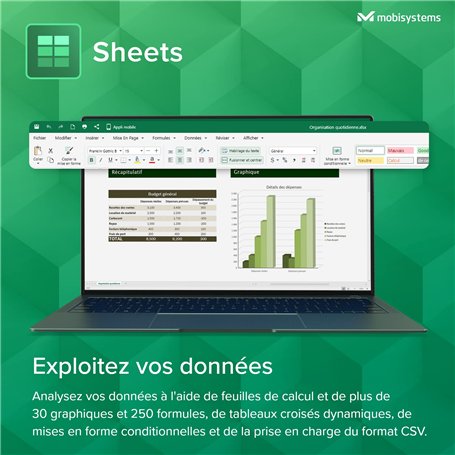 2 pièces Brosse de toilette en pierre ponce Nettoyage Dure WC +1 pièce outil de nettoyage pour le tuyaux d'évacuation Nettoyage