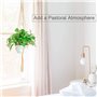 Surplex 2 Paquets Suspension Plante Macramé, Pot Suspendu Plante, pour Suspendre Pot de Fleur Suspension Suspendue Décoration Ba