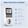 Prise programmateur numérique Besvic - 3680 W - avec 10 programmes Quotidiens configurables - Écran LCD et Mode Anti-agrafage al