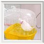 Baignoire D'Oiseau BoîTe Bain Jouet - Suspendu Perruche Baignoires pour Oiseaux Perroquets avec Crochets Nourrisseur Plupart des