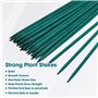mizikuu 50 Pièces Tiges de Support pour Plantes, 38CM Stake de Plante en Bois Vert Tuteurs de Plantes avec 30 Yard Ruban de Papi