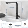 Robinet de Cuisine avec Douche Extractible