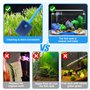 Kit de nettoyage pour aquarium, comprend 1 Aquarium Fish Tank Aspirateur avec Pompe à Siphonner Eau avec Filtre à Gravier et 1 b